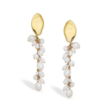 Load image into Gallery viewer, Irida