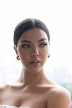 Load image into Gallery viewer, Bin Medium