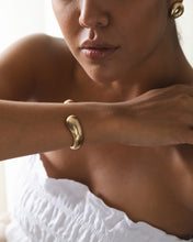 Load image into Gallery viewer, Thaw