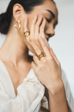 Load image into Gallery viewer, Loa