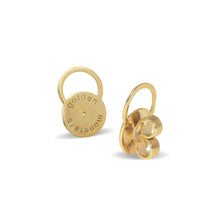 Load image into Gallery viewer, Big Backings