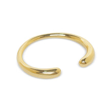 Load image into Gallery viewer, Raku