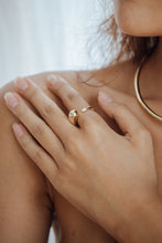 Load image into Gallery viewer, Auka